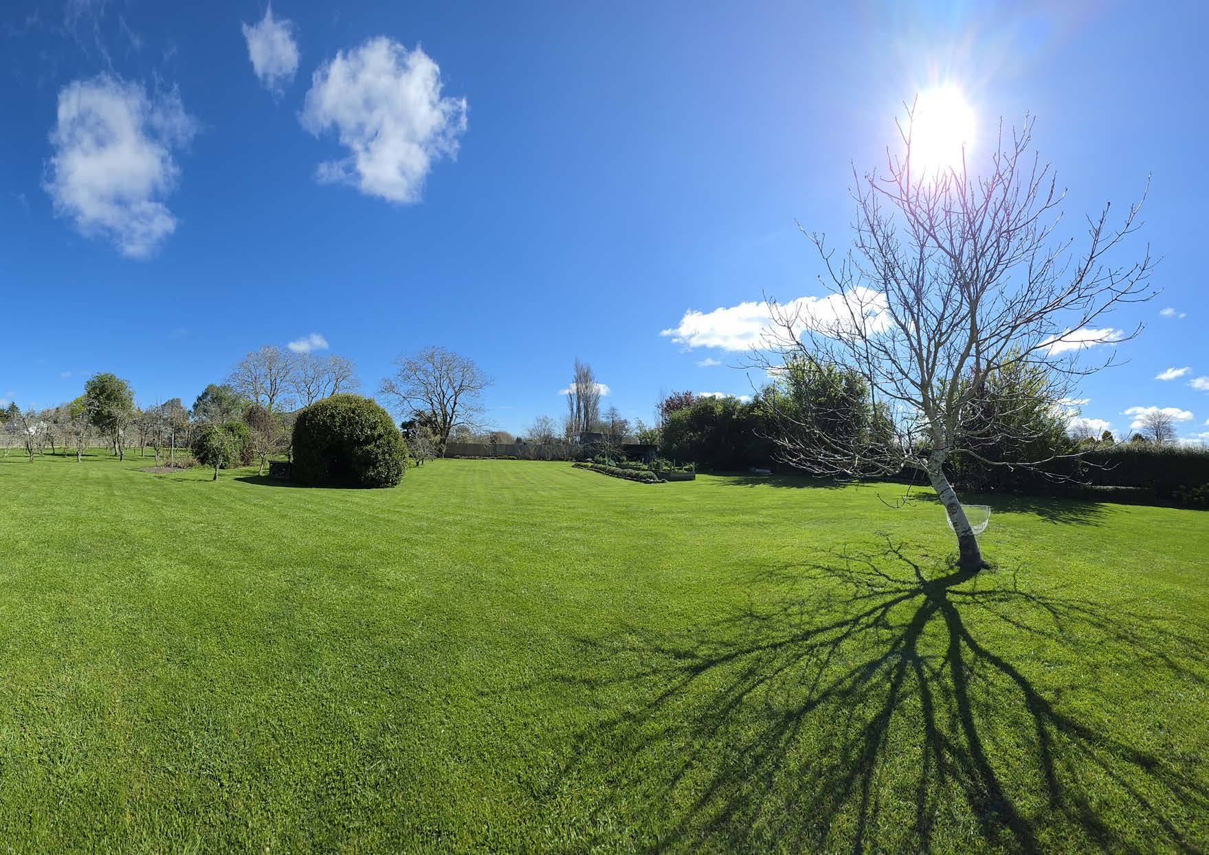 Mature garden and open lawn at Applewood Orchard