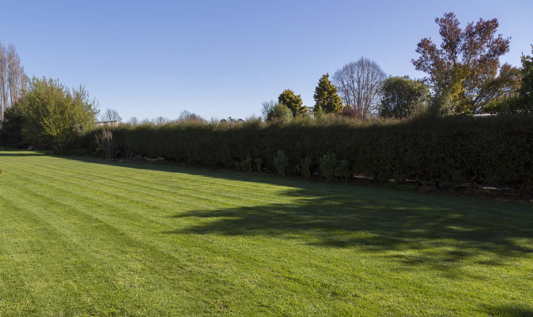 Open lawn and mature perimeter planting