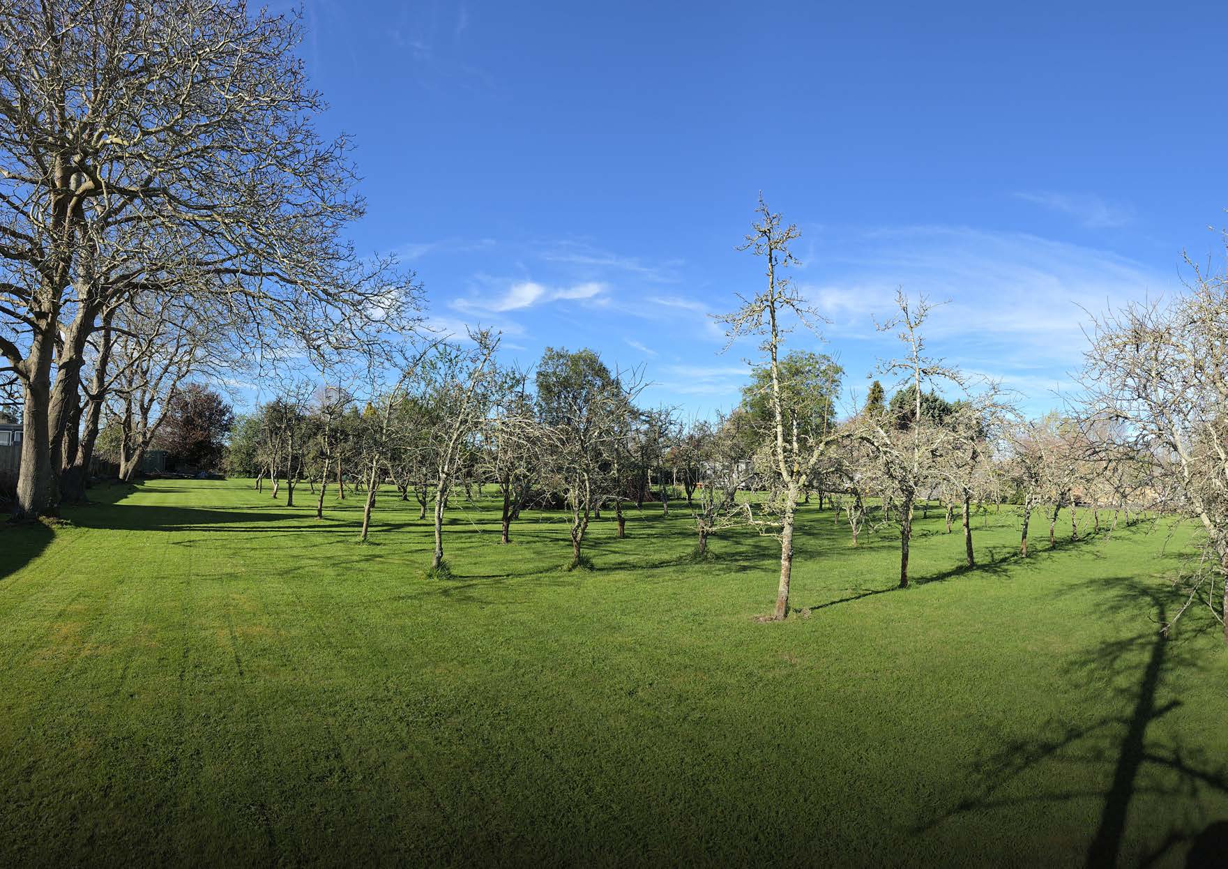 Established apple orchard and lawns